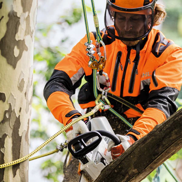 STIHL MSA 161 T Akku-Kettensäge AP System – leicht, leistungsstark und kabellos – Bild 2