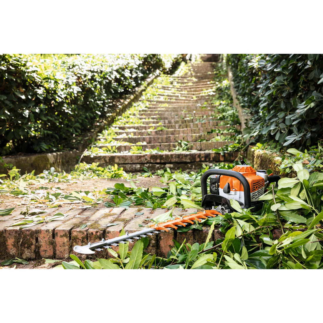 STIHL HS 82 T Benzin-Heckenschere 600 mm Profi – Bild 3