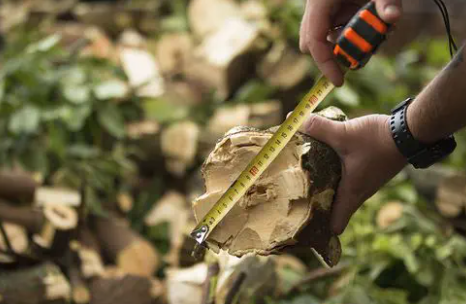 Holzhäcksler AM-160TR-K Traktor 160 mm 80 PS – leistungsstark – Bild 3